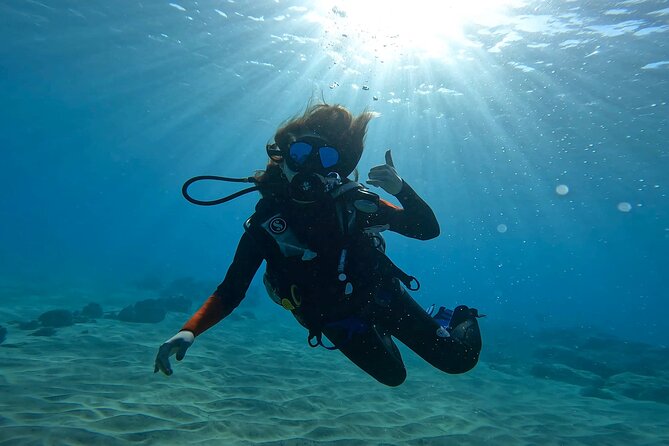 Beginner Scuba Diving Experience with Video Package in Honolulu - Shallow-water practice before going farther