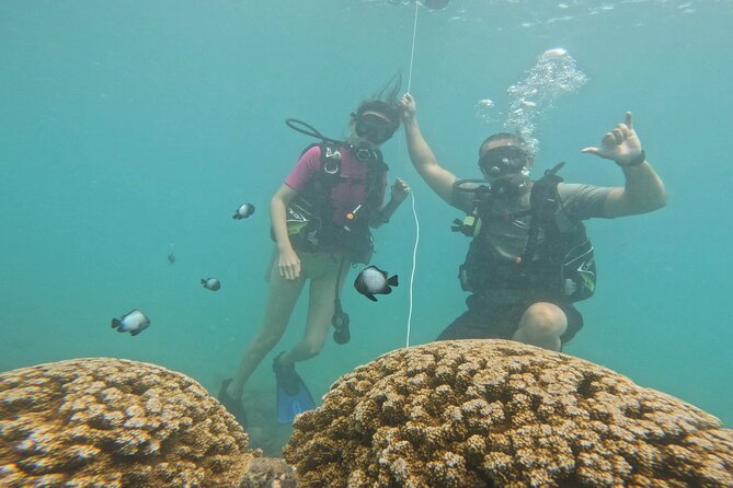 Beginner Scuba Diving Experience with Video Package in Honolulu - Twenty to thirty minutes with fish and marine life