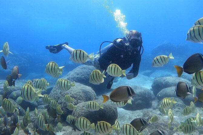 Beginner Scuba Diving Experience with Video Package in Honolulu - Arriving 30 minutes early at the lagoon