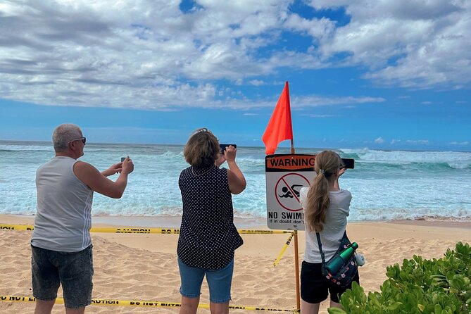 Best of Oahu Full-Day Small-Group Island Tour - Dole Plantation gives you a quick pineapple introduction