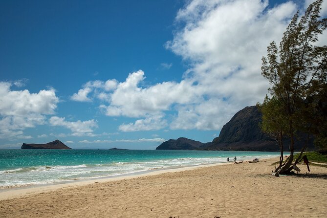 Best Of Oahu: Grand Circle Island Small Group Tour From Waikiki - Valley of the Temples offers a quiet cultural pause