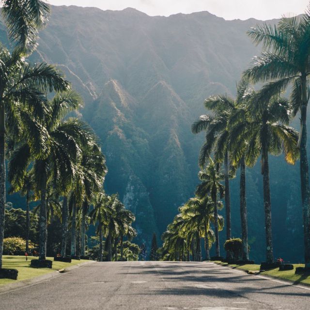 Best of Oahu in One Day - Haleiwa, shaved ice, and Dole Plantation