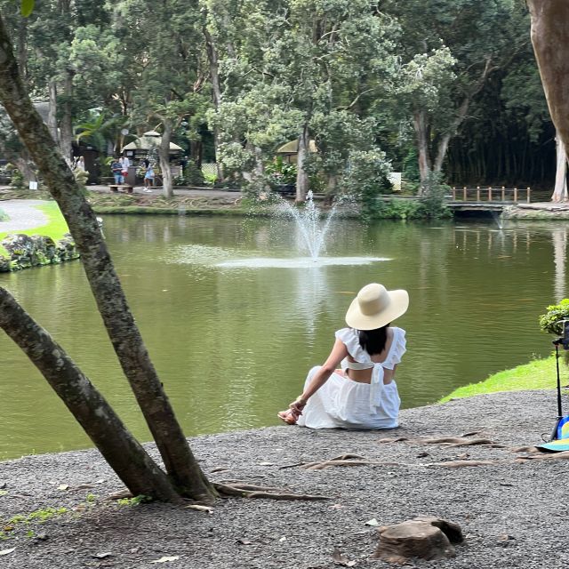 Best of Oahu in One Day - A coffee farm to finish the food trail