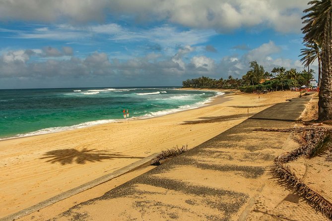 Best of Oahu: Pearl Harbor & Oahu Circle Island Tour from Waikiki - Tropical Farms and the macadamia nut stop