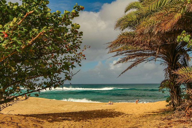 Best of Oahu: Pearl Harbor & Oahu Circle Island Tour from Waikiki - The price, pace, and group size