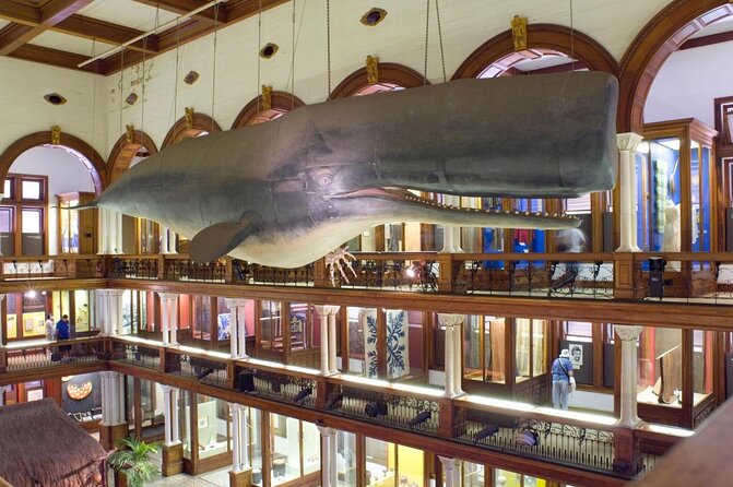 Bishop Museum General Admission Ticket - Key things to know before you go