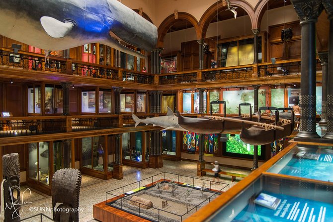 Bishop Museum General Admission Ticket - The planetarium and Polynesian knowledge of the sky