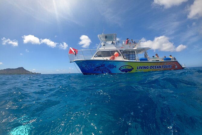 BYOB Sunset Cruise off the Waikiki Coast - Who should book this cruise