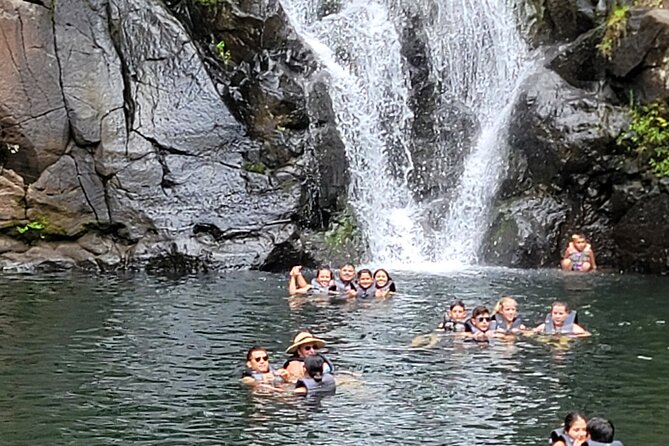 Byodo Temple and Waimea Botanical Garden Tour - Diamond Head and the southeastern shore