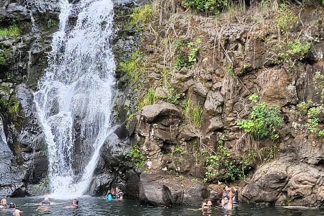 Byodo Temple and Waimea Botanical Garden Tour - Waimea Valley and its waterfall