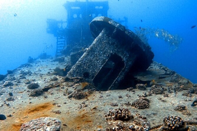 Certified Diver: 2-Tank Deep Wreck and Shallow Reef Dive Off Oahu - Two south-shore sites, two very different moods