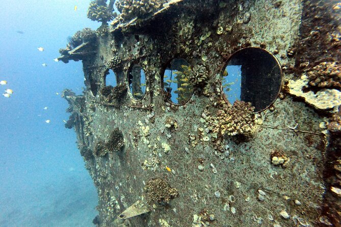 Certified Diver: 2-Tank Deep Wreck and Shallow Reef Dive Off Oahu - The Sea Tiger wreck at about 105 feet