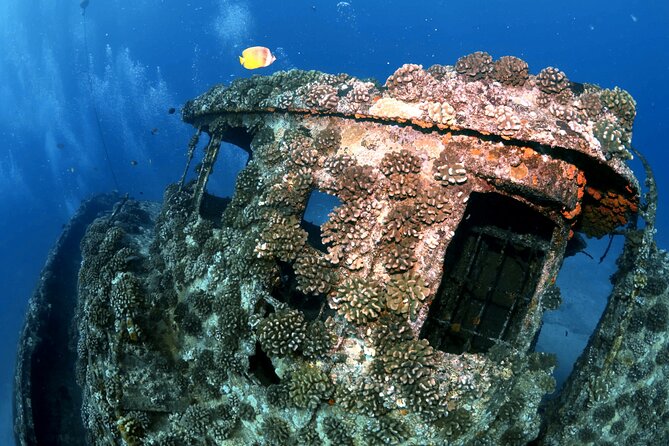 Certified Diver: 2-Tank Deep Wreck and Shallow Reef Dive Off Oahu - What the $248.81 price includes