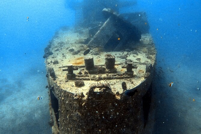 Certified Diver: 2-Tank Deep Wreck and Shallow Reef Dive Off Oahu - What the boat morning feels like at Kewalo Basin