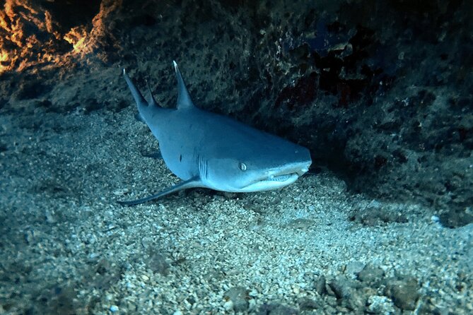Certified Diver: 2-Tank Night Dive - The surface interval and the changing light