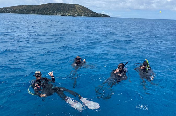 Certified Scuba Diving Along Two Shallow Reef Sites - What your three hours look like
