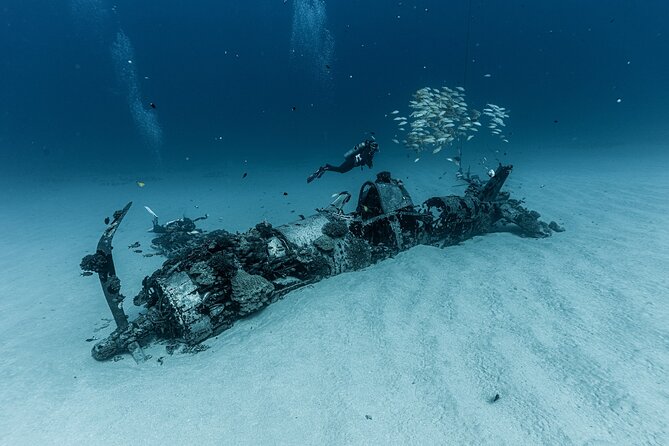 Certified Scuba Diving Experience in Honolulu - The 30 to 50-foot reef brings a change of pace