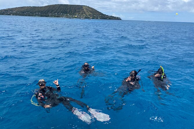 Certified Scuba Diving Experience in Honolulu - Gear, snacks, and what you still need to bring