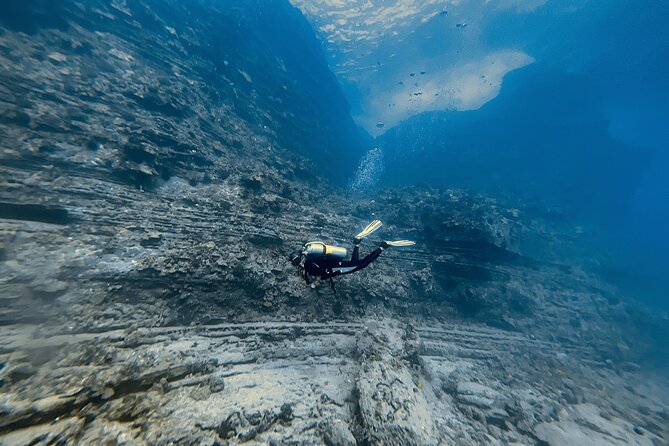 Certified Scuba Diving Experience in Honolulu - Should you book this experience?