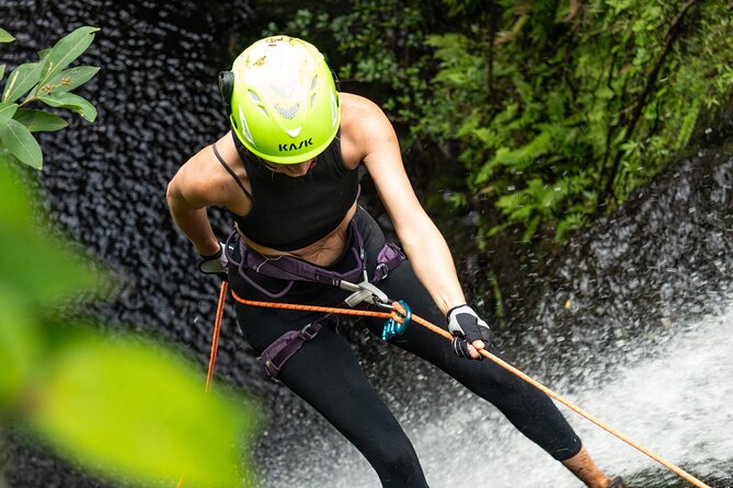 Chasing Waterfalls:Wild Hawaii Rappelling - Who Should Book This Oahu Experience?