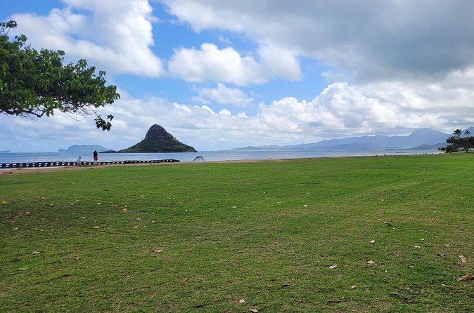 Circle Island 8hr Private Small Group Tour - Fruit, shrimp, and a North Shore lunch