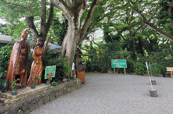 Circle Island 8hr Private Small Group Tour - Coffee and macadamia nuts at Tropical Farms