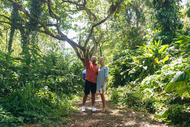 Circle Island (Holoholo Mokupuni) from Ko'olina - Byodo-in Temple brings calm and careful detail