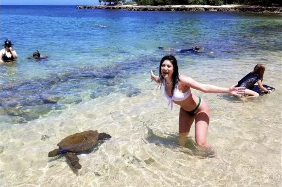 Circle Island: Swim with Turtles and Explore Paradise Oahu - Why the turtle swim is worth building a day around
