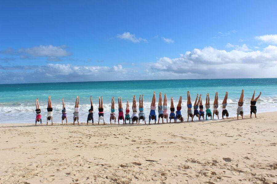 Circle Island: Swim with Turtles and Explore Paradise Oahu - Kahuku shrimp and the cost of lunch
