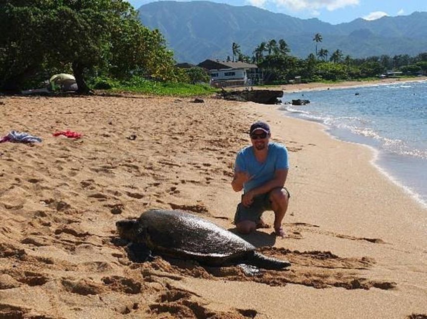 Circle Island: Swim with Turtles and Explore Paradise Oahu - Dole Plantation and a sweet finish