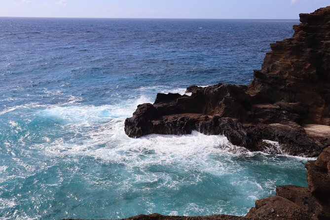 Circle Island Tour with Snorkeling & Turtles - Shark’s Cove snorkeling