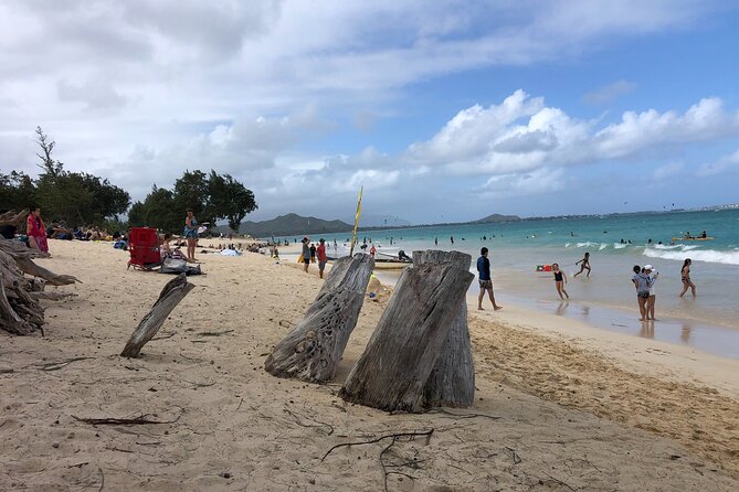 Circle Island tours - swim with turtles,Private & Small Group Tours - Macadamia nuts and historic Haleiwa