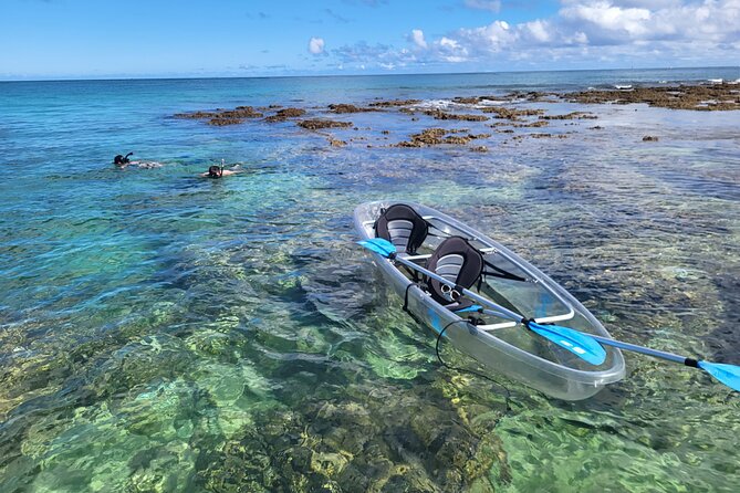 Clear Bottom Kayak - Guaranteed to see Turtles! - Key points to know before you book