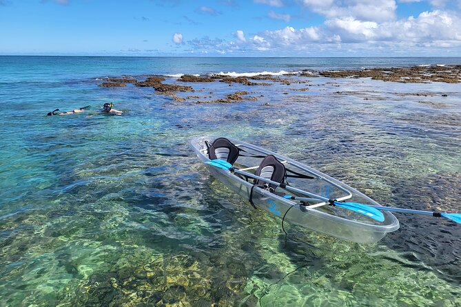 Clear Bottom Kayak - Guaranteed to see Turtles! - Searching the reef for turtles and fish