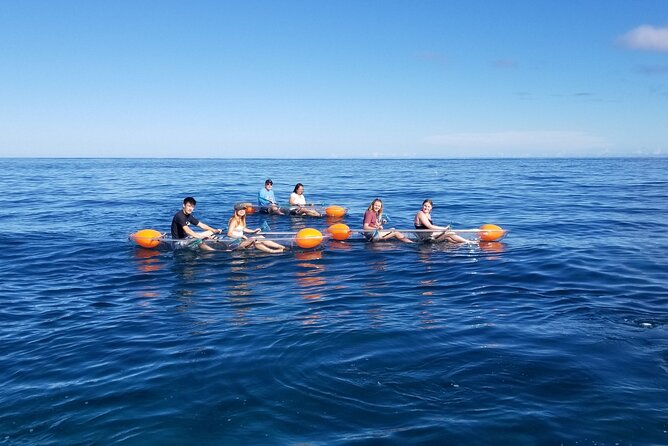 Clear Bottom Kayak - Guaranteed to see Turtles! - Paddling out in a clear kayak