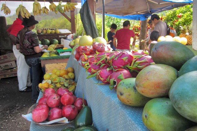 Custom Island Tour - for 4 to 5 people - up to 8 hours - Private tour of Oahu - Pickup, timing, and practical details