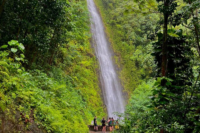 Customizable Private Tour Oahu- Ko Olina Resorts Pick Up Included - Across the Koʻolau Mountains to Nuʻuanu Pali