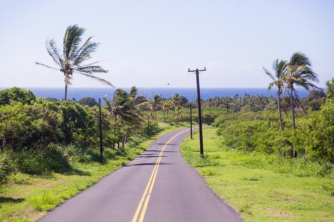 Day Trip from Oahu to Hilo: Volcano Adventure - Akaka Falls brings a change of pace