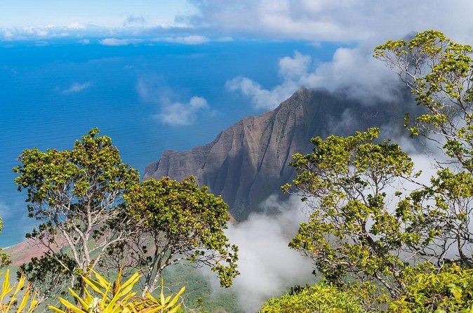 Day Trip from Oahu to Kauai: Highlights & Movie Sites - Hanalei, the tour’s best chance to slow down