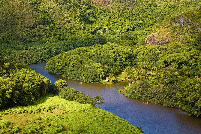 Day Trip from Oahu to Kauai: Waimea Canyon & Wailua River - Wailua River and the Fern Grotto boat ride