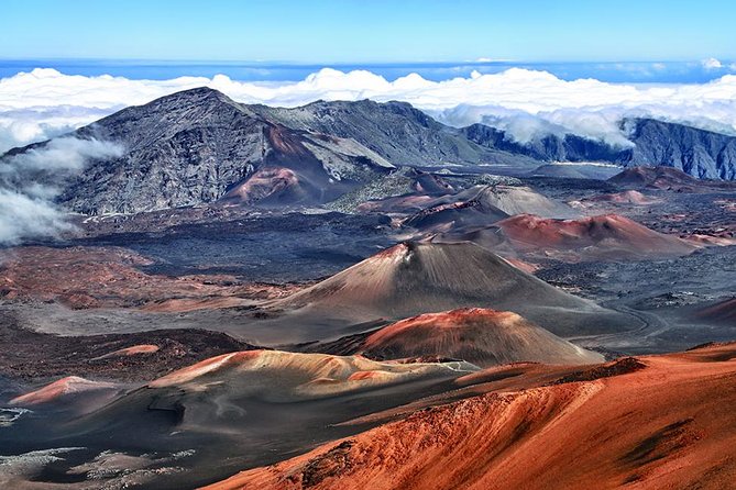Day Trip Oahu to Maui: Sips, Sites and Bites - Key Points Before You Book