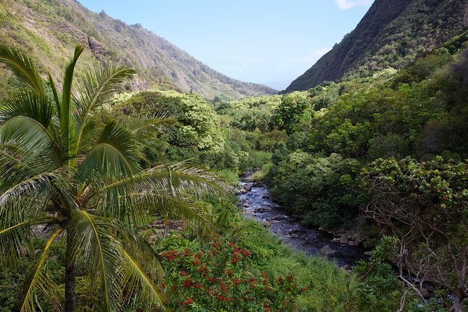 Day Trip Oahu to Maui: Sips, Sites and Bites - A 5:30 a.m. Start and an Interisland Flight