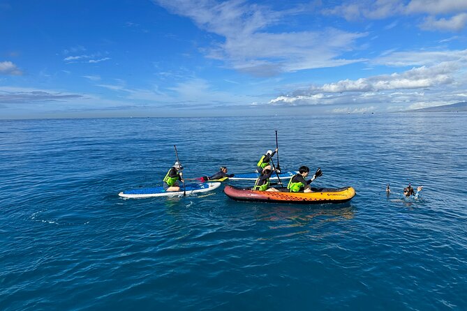 Deluxe Turtle Snorkeling Escapade at Waikiki - Six ways to use the time between turtle sightings