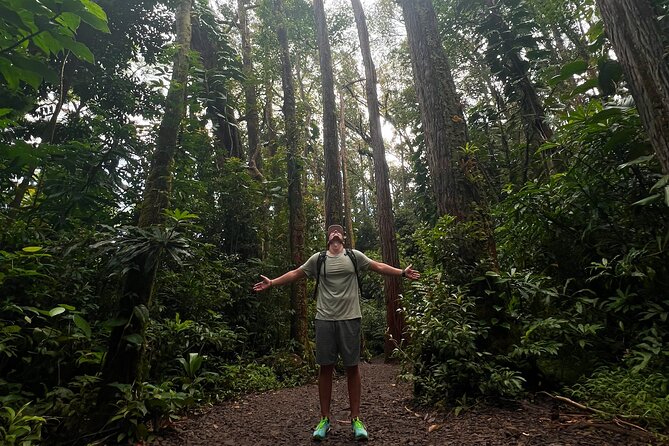 Diamond Head and Manoa Falls Hike and Adventure Tour - Food, water, and the morning schedule