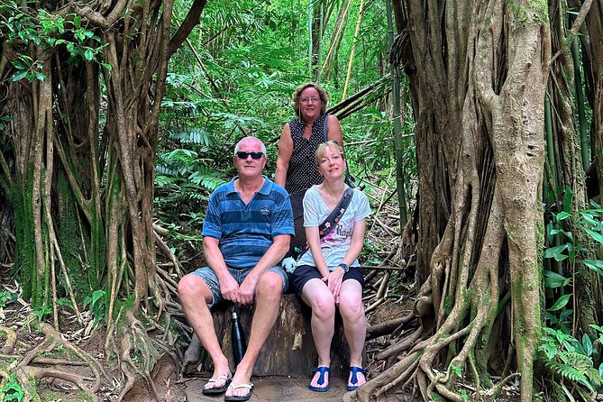 Diamond Head and Manoa Falls Hike and Adventure Tour - Price and what you receive