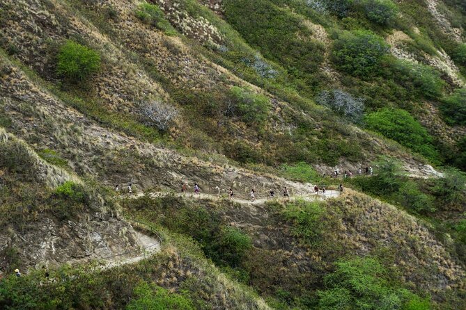 Diamond Head and Manoa Falls Hike and Adventure Tour - Who should choose this outing