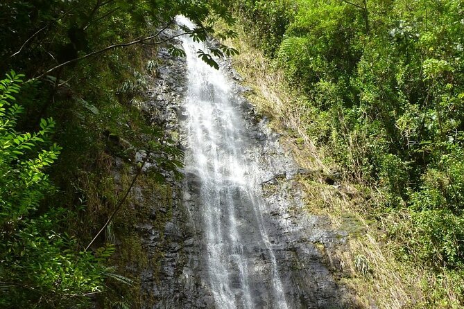 Diamond Head and Manoa Falls Hike and Adventure Tour - Starting around Waikiki at 8:00 a.m.