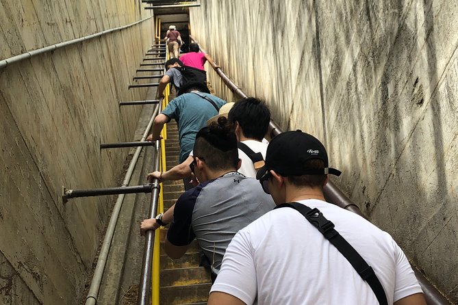 Diamond Head Bike to Hike and Local Lunch - Mansions, Diamond Head Lookout, and Shangri-La