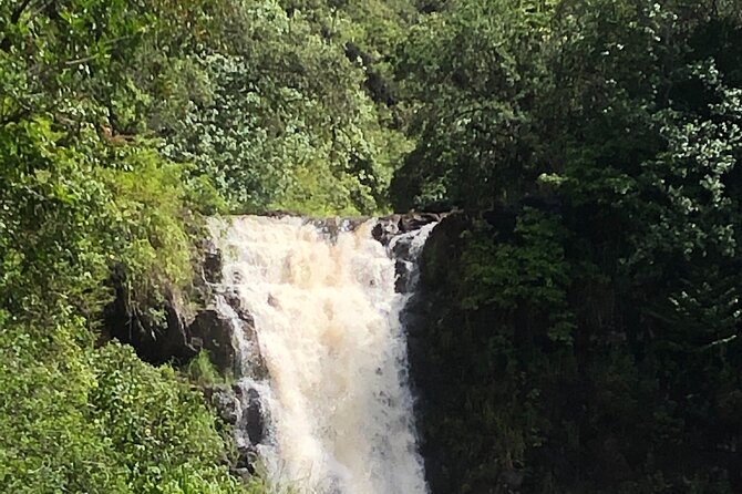Diamond head crater trail , Sightseeing & South Side beach day - What the guide adds to the day