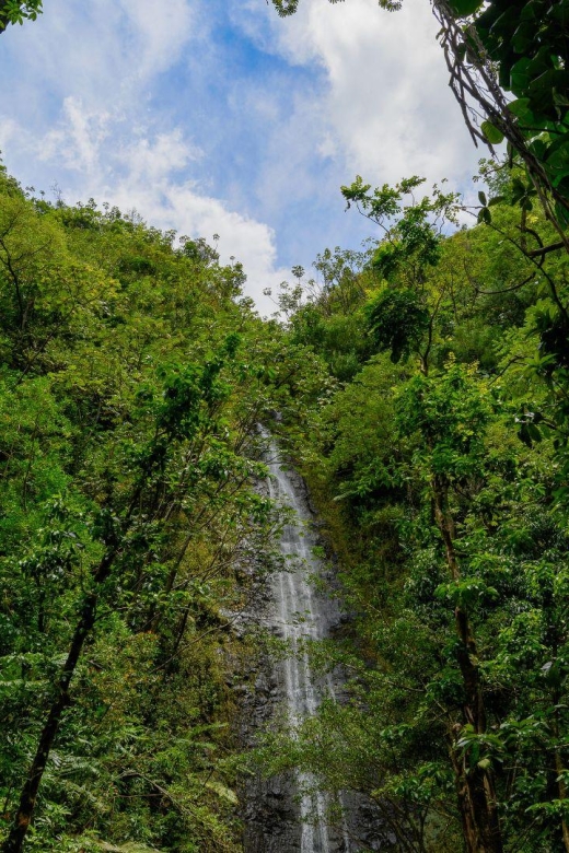 Diamond Head Manoa Falls - Timing, pickup, and booking details